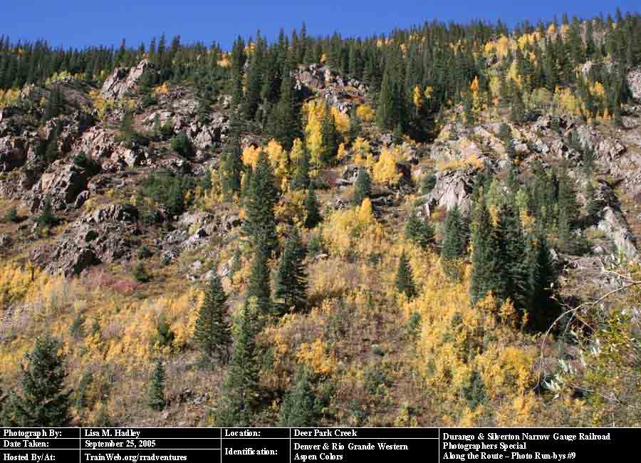 Durango & Silverton - Aspen Colors