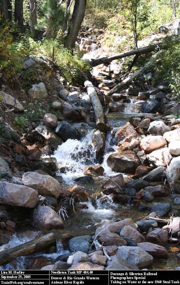 Durango & Silverton - Animas River Rapids
