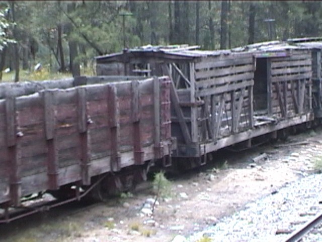 Tacoma - D&RGW Stock Car