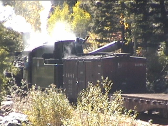 Needleton Tank {New} MP 484.4