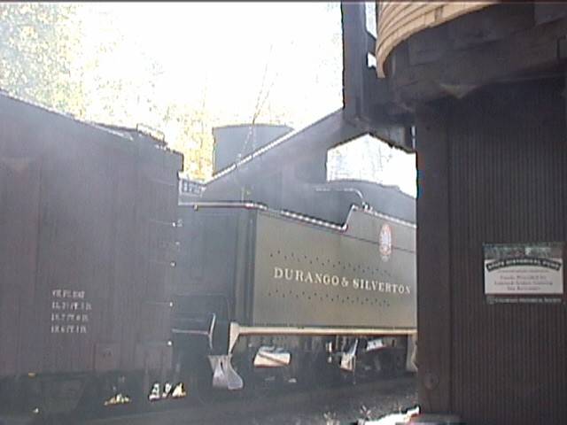 Needleton Tank {New} MP 484.4