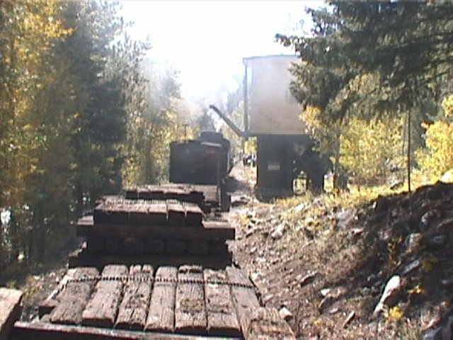 Needleton Tank {New} MP 484.4