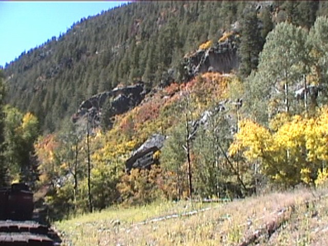 Fall Foliage / Colorado Aspen