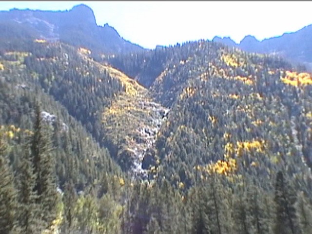 Fall Foliage / Colorado Aspen