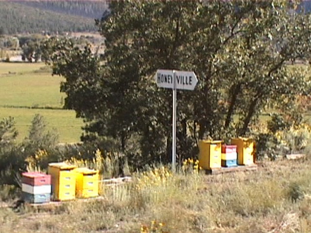 HONEYVILLE