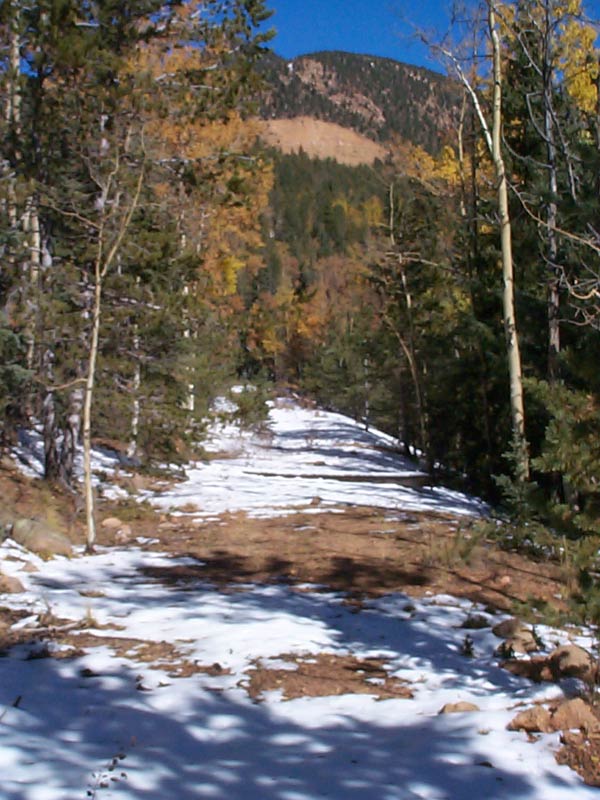 Summit / Mt. Rose Wye