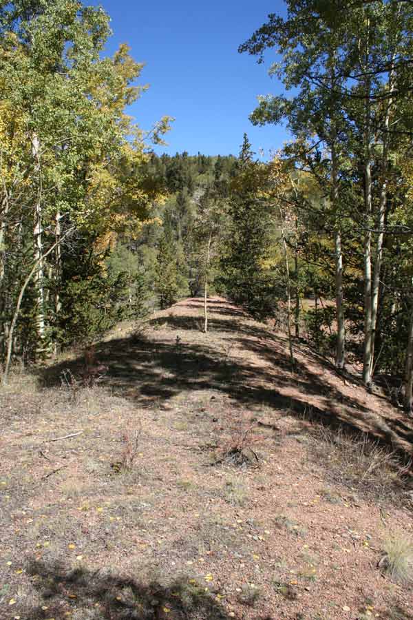 Midland Terminal Trestle