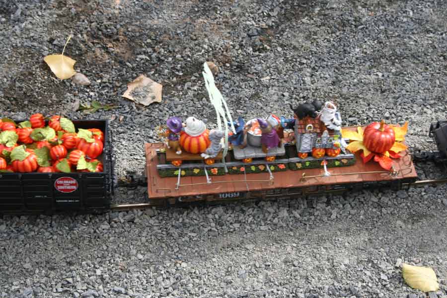 Denver Garden Railway Society