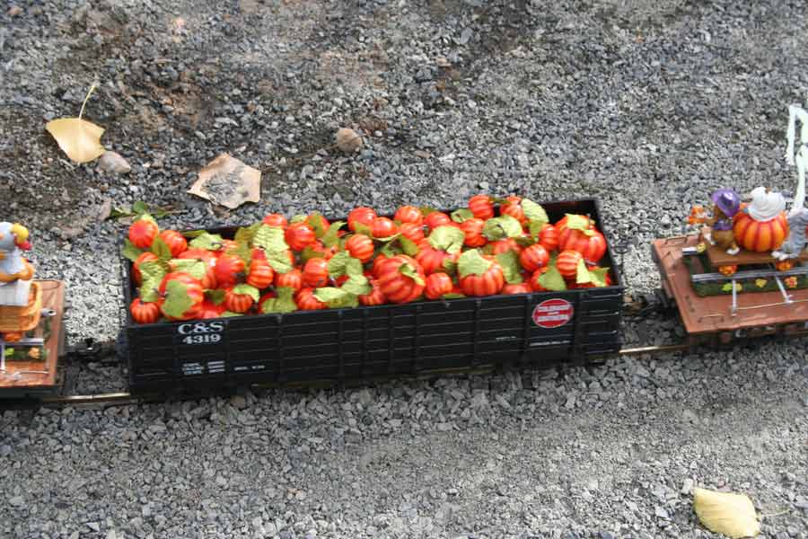 Denver Garden Railway Society