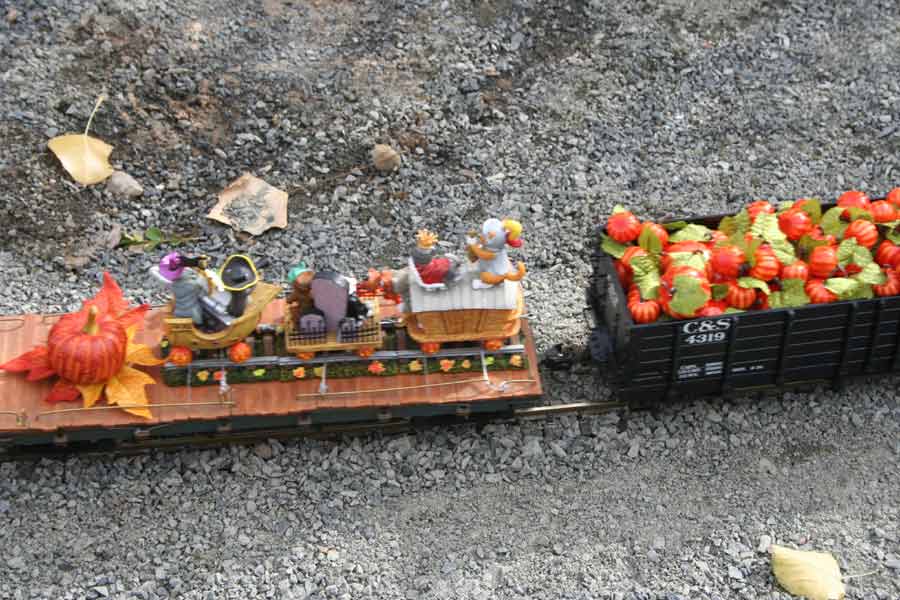 Denver Garden Railway Society