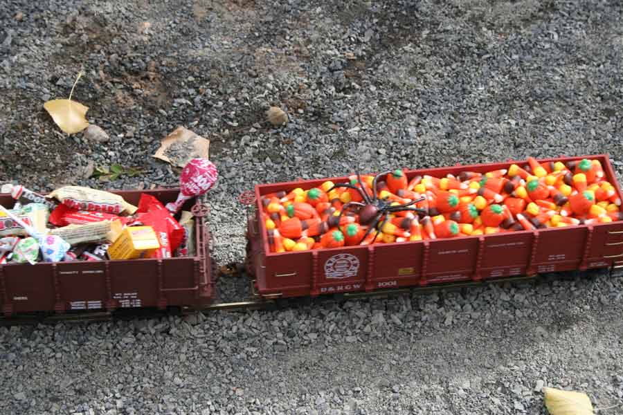 Denver Garden Railway Society