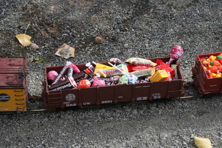 Denver Garden Railway Society