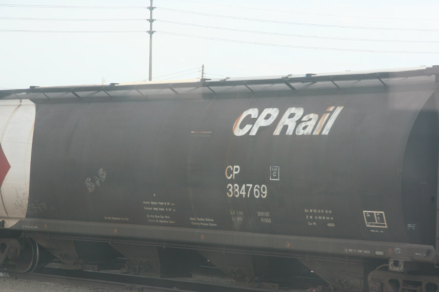 CP #384769