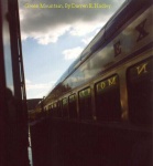 American Orient Express