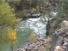 Animas River