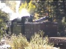 Needleton Tank {New} MP 484.4