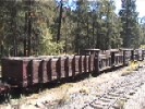 D&RGW Flat Car / Stock Car