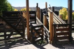 Cattle / Sheep Stock Yard Ramp