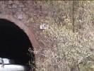 Tunnel #48