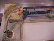 Thumbnail of Dec 2006 layout (north end)