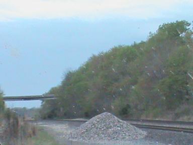 LAPLATA 2012 RAILFAN EVENT 007.JPG