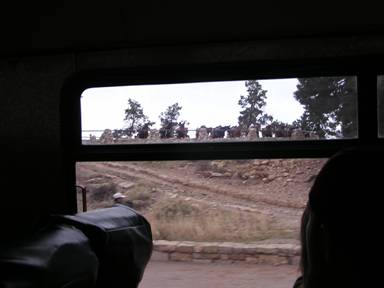 Honeymoon 2006 175.jpg