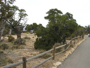 Honeymoon 2006 189.jpg