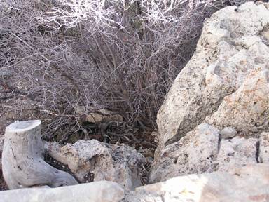 Honeymoon 2006 245.jpg