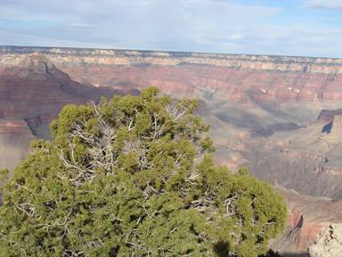 Honeymoon 2006 246.jpg