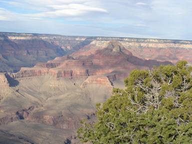 Honeymoon 2006 250.jpg