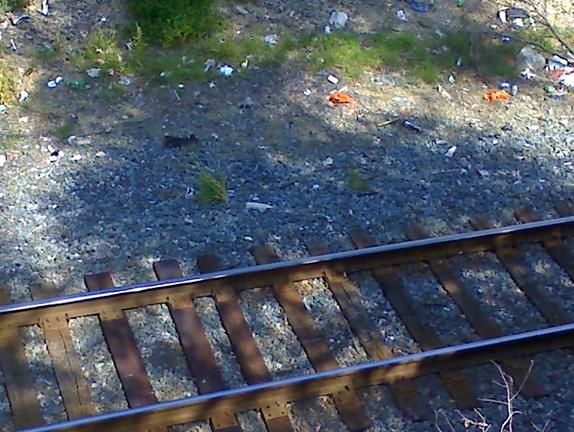 Vandalia statehouse 042.jpg