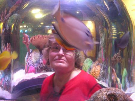 KC AND STUFF 062.JPG