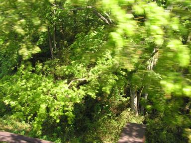 2007 May Cival War 009.JPG