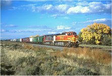 BNSF 4828 south of San Antonio, NM -- October, 2000