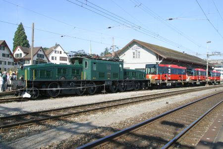 MECH-Krokodil mit Bussen