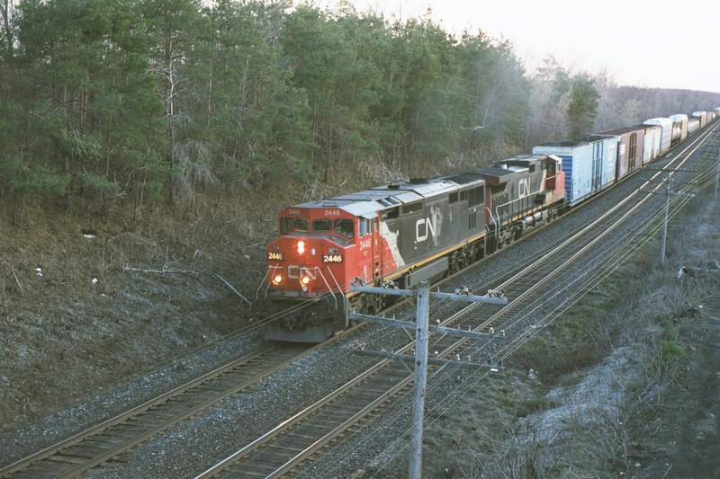 cn2446.jpg