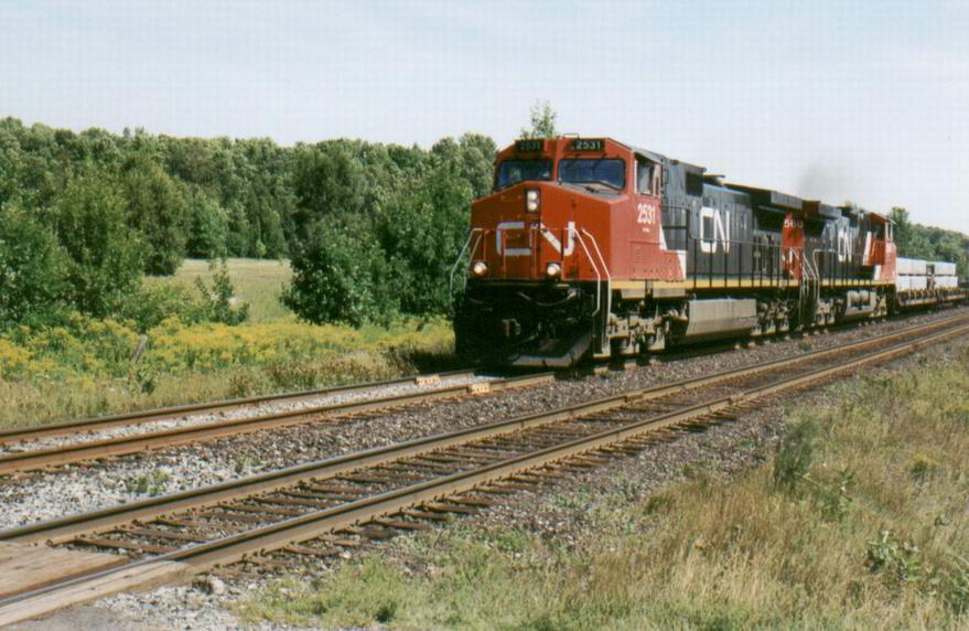 cn2531.jpg