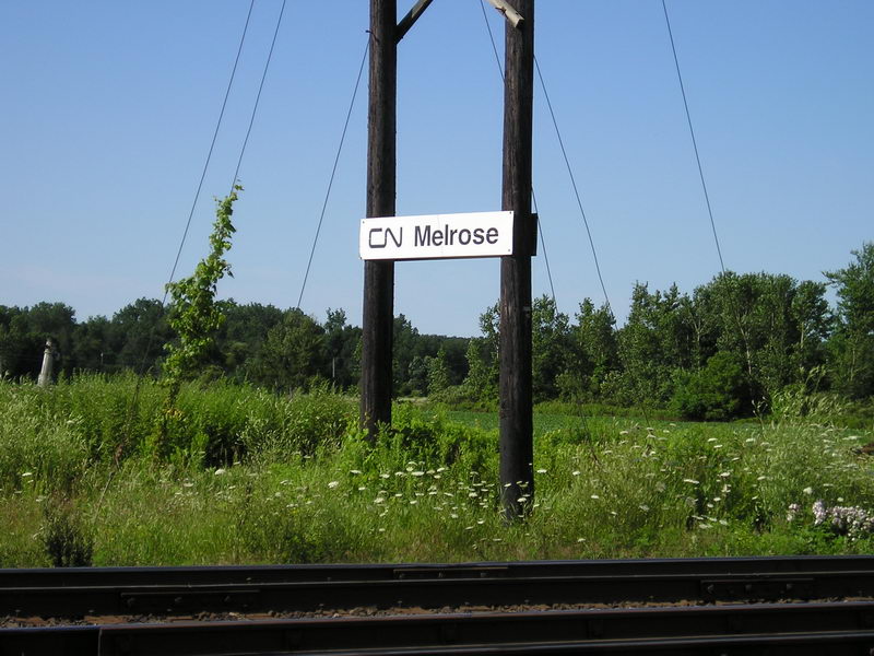 cnmelrose.jpg
