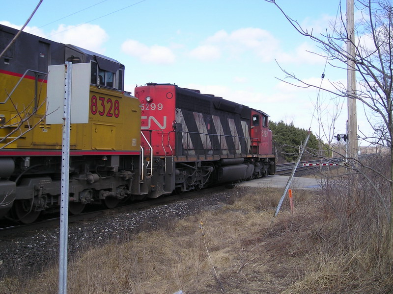 cn5299.jpg