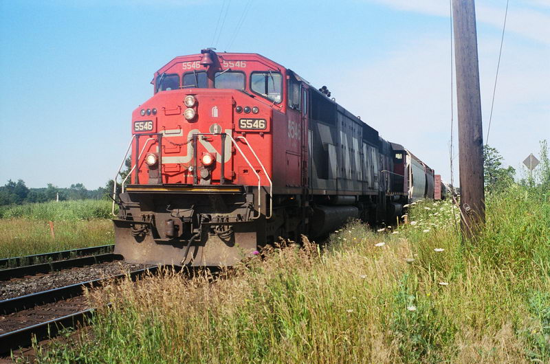 cn5546.jpg