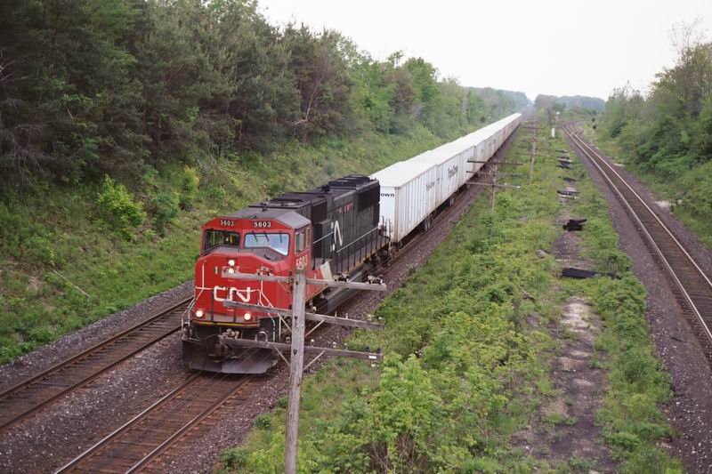 cn5603.jpg