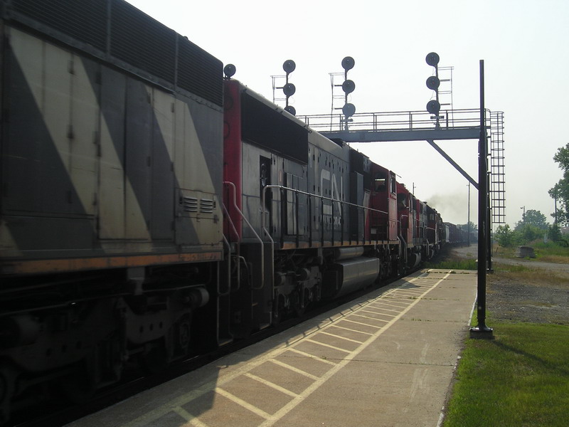 cn5699.jpg