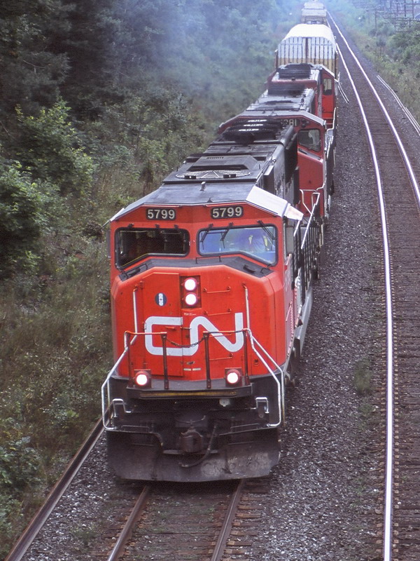 cn5799.jpg