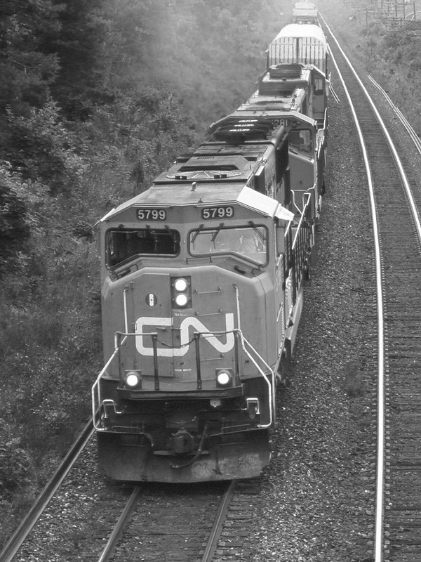 cn5799bw.jpg