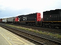 cn5769