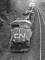 cn5799bw