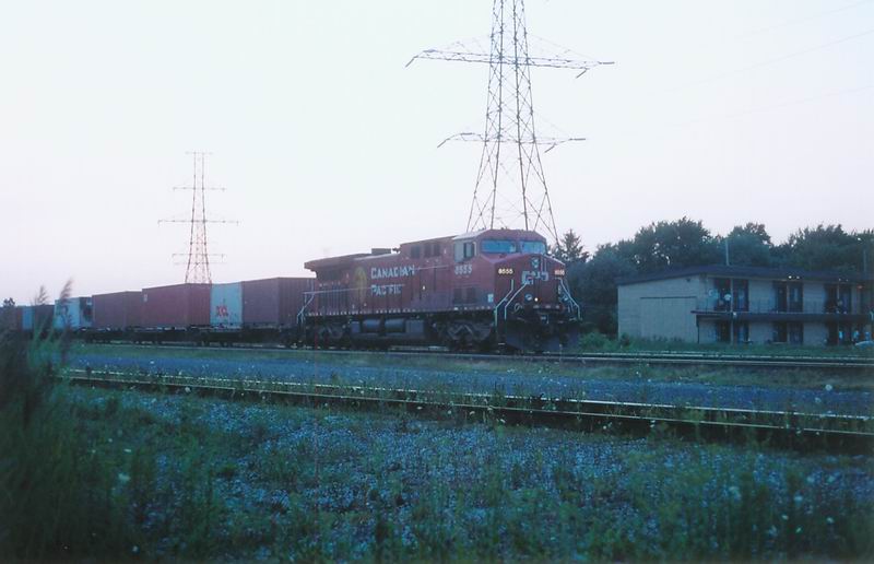 cp8555.jpg
