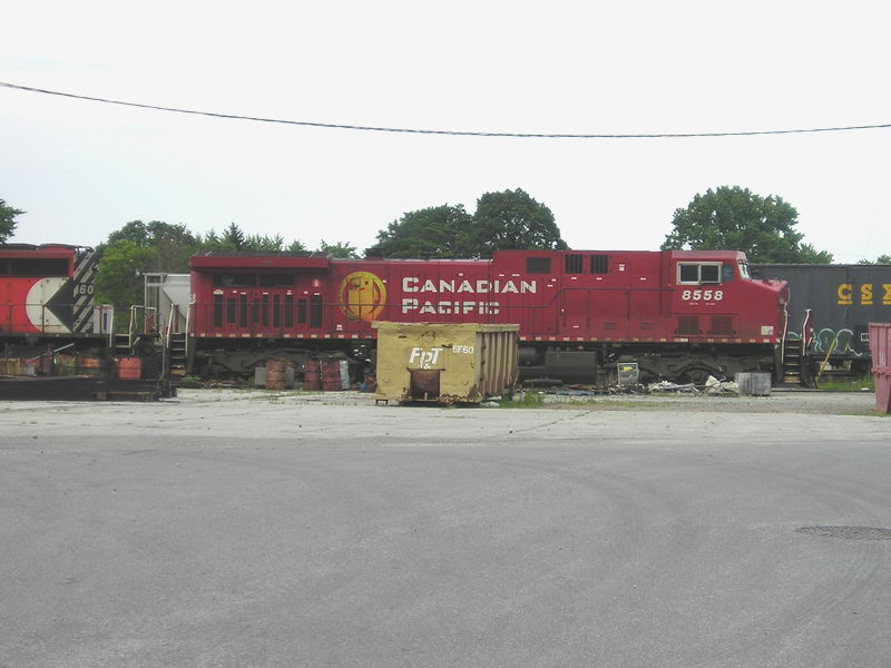 cp8558b.jpg