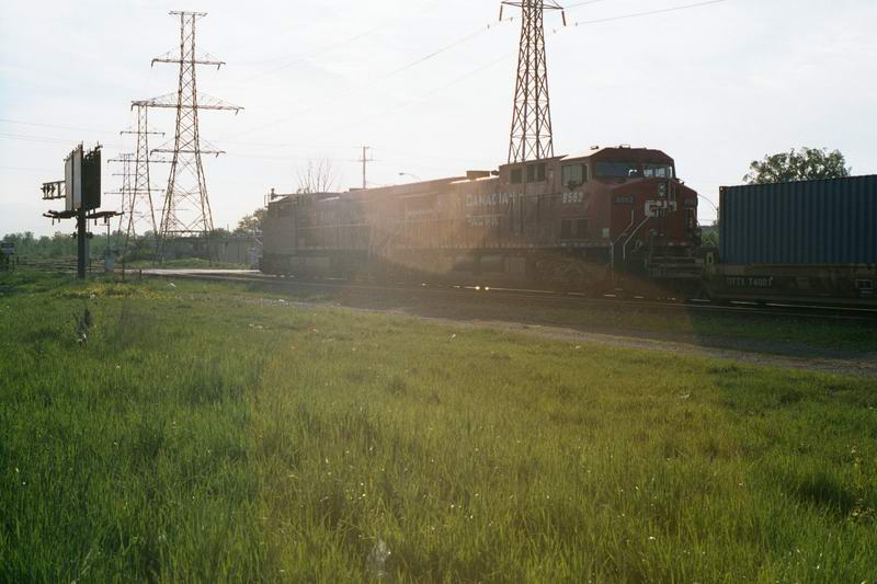 cp8562.jpg