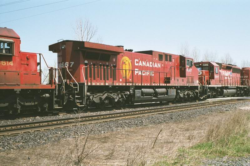 cp8567.jpg